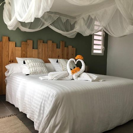 Gite Maracudja Vue Sur Mer 卡佩斯特雷贝勒奥 外观 照片