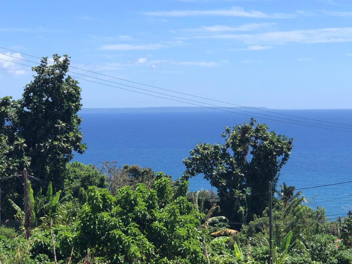 Gite Maracudja Vue Sur Mer 卡佩斯特雷贝勒奥 外观 照片